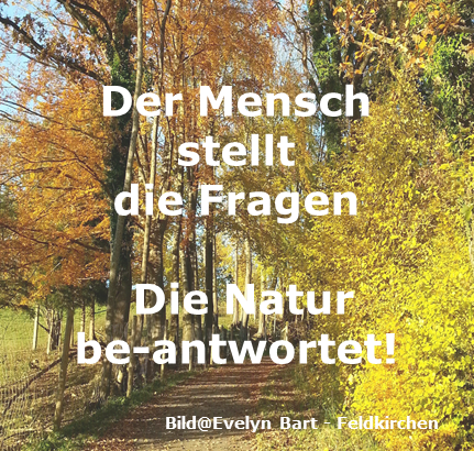 Fragen – die Natur be-antwortet
