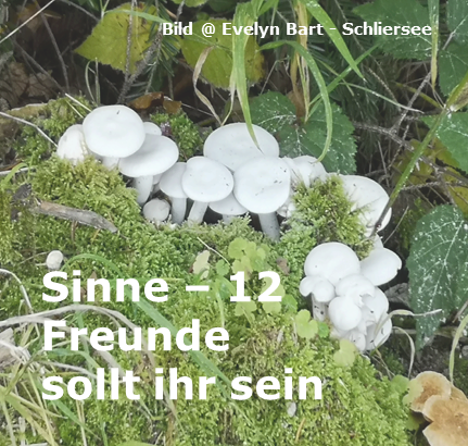 Sinne – 12 Freunde sollt ihr sein!